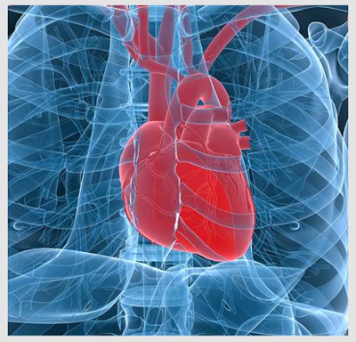 Heart Disease